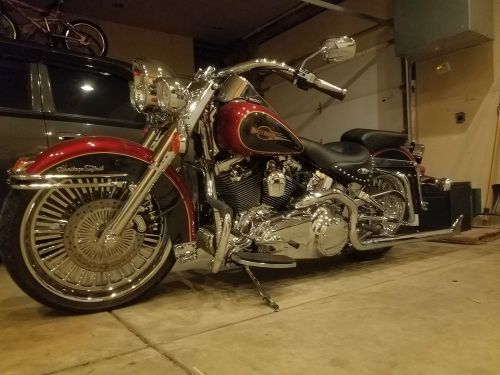 2007 harley-davidson softail