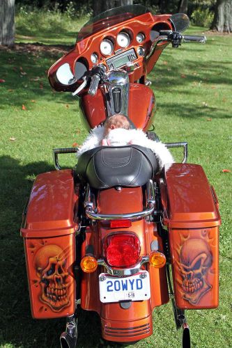 2008 harley-davidson touring