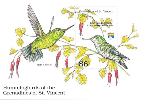 St. Vincent- Hummingbirdbirds of the Grenadines, 1992 - S/S MNH