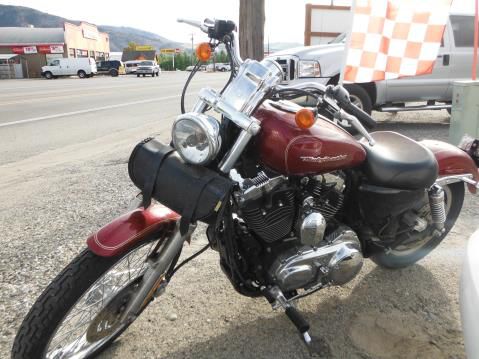 Used 2005 harley-davidson xl1200c for sale