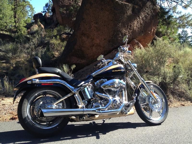 2003 harley-davidson fxstdise  cruiser 