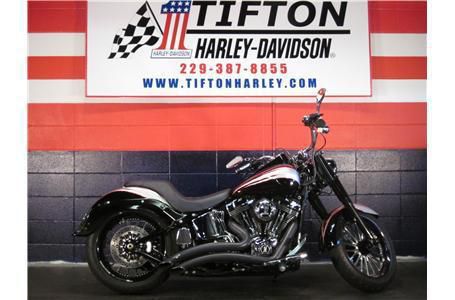 2009 Harley-Davidson FLSTF Cruiser 
