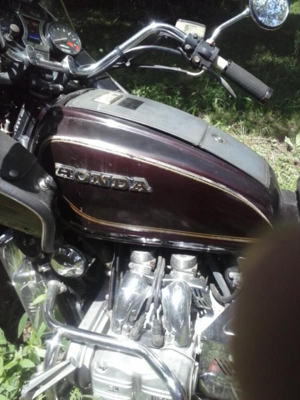 81 gl1100 goldwing