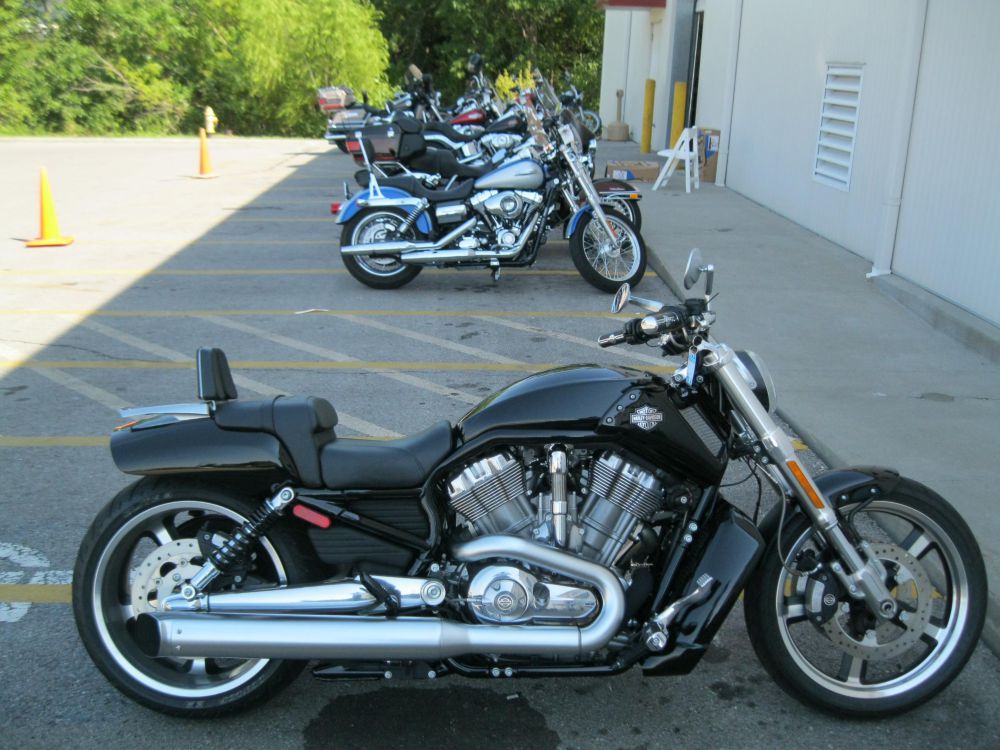 2009 Harley-Davidson V-Rod Muscle VRSCF Other 