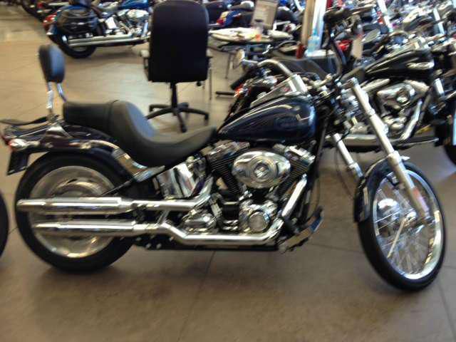 2009 harley-davidson fxstc softail custom  cruiser 