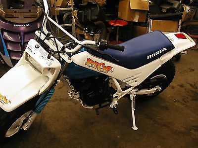 Honda : other 1986 honda tr 200 fat cat / restoration