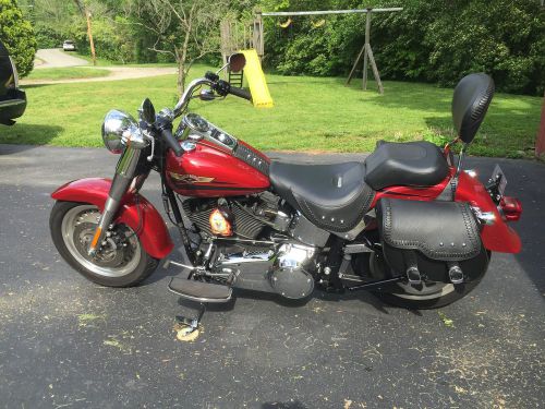 2007 harley-davidson softail