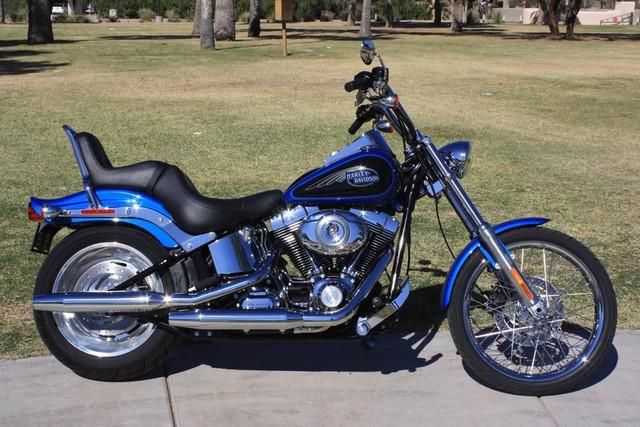 2008 harley-davidson fxstc softail custom  cruiser 