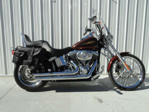 2009 harley-davidson fxstc softail custom