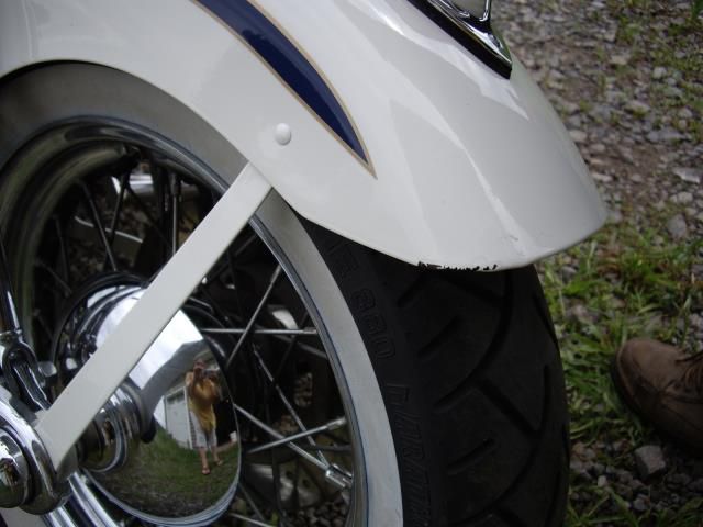 1997 harley-davidson softail