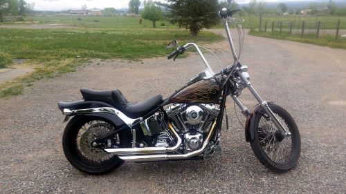 2007 Harley-Davidson Thunder Mountain Custom - STERLING, US $16,500.00, image 2