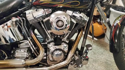 2007 Harley-Davidson Thunder Mountain Custom - STERLING, US $16,500.00, image 5