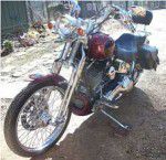 Used 2002 Harley-Davidson Springer Softail For Sale