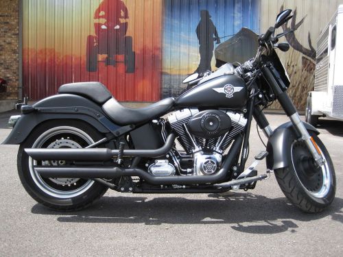 2010 Harley-Davidson Softail