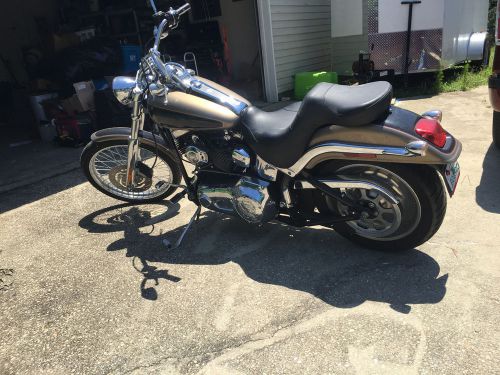 2004 harley-davidson softail