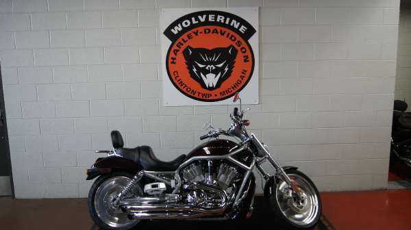 2005 harley-davidson vrsca v-rod