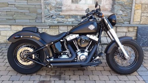 2013 harley-davidson softail