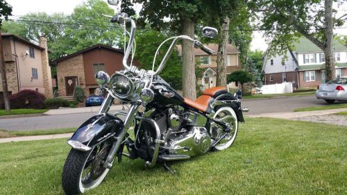 2007 harley-davidson softail