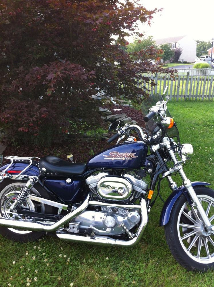 1999 harley-davidson sportster 883 hugger cruiser 