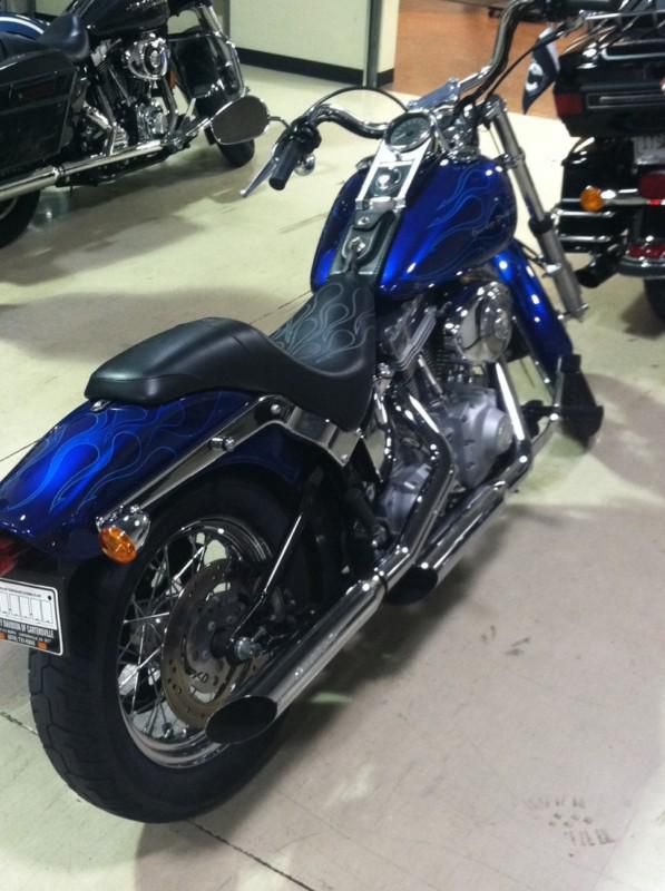 2005 Harley Davidson Softail injected FXSTi, Harley custom paint
