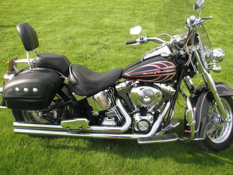 Harley Softail - Numbered factory paint job