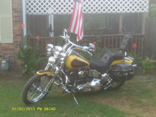 1999 Harley-Davidson Softail