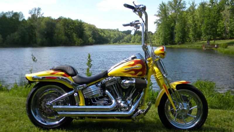 2009 Harley Davidson Screamin Eagle Springer CVO FXSTSSE3 - Awesome Machine Apes