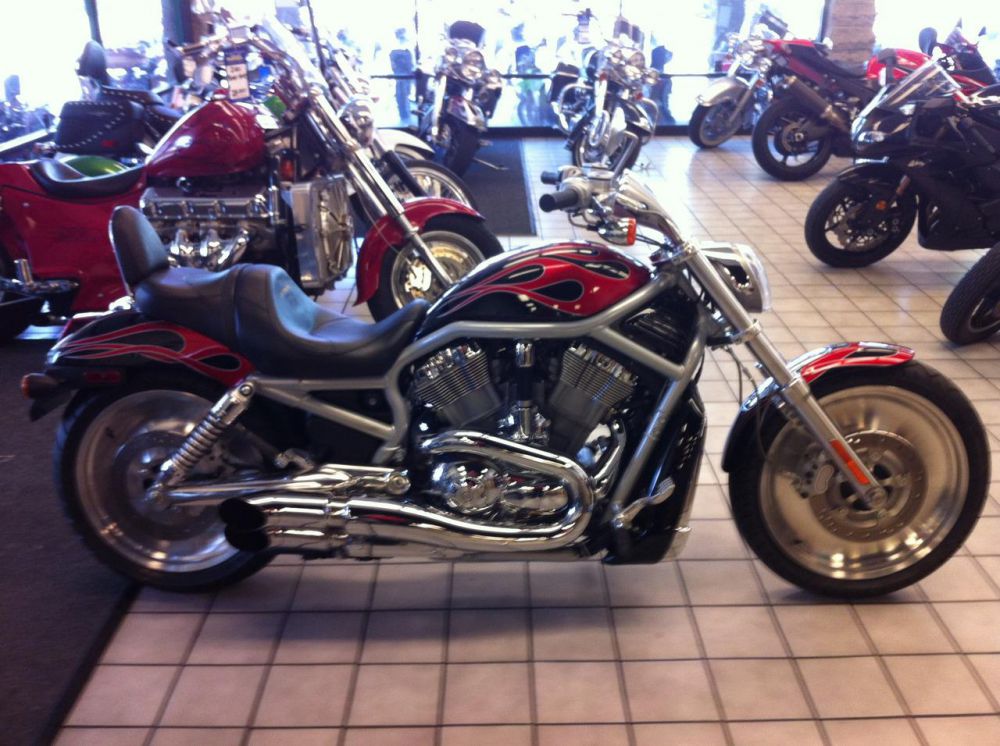 2003 harley-davidson v rod  cruiser 