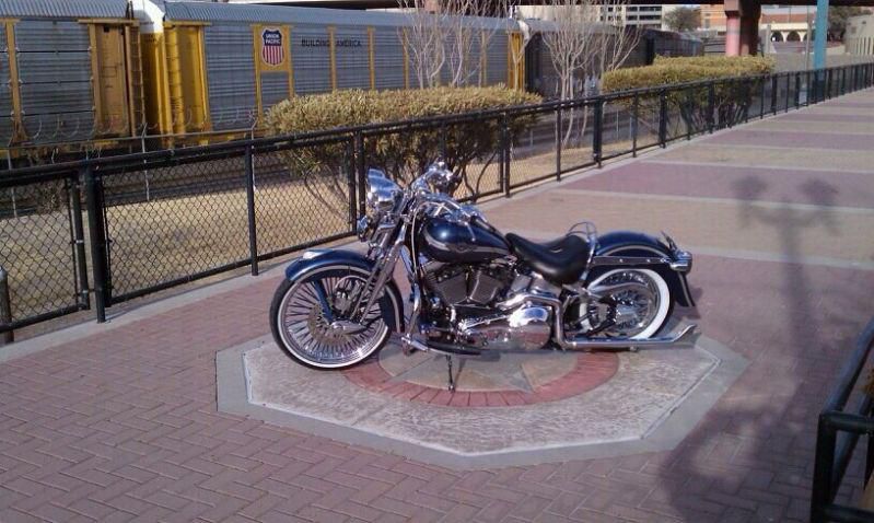 Heritage springer (flsts) 100th anniversary. color-gunmetal pearl