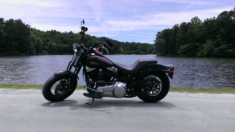 Harley Davidson FLSTSB crossbones