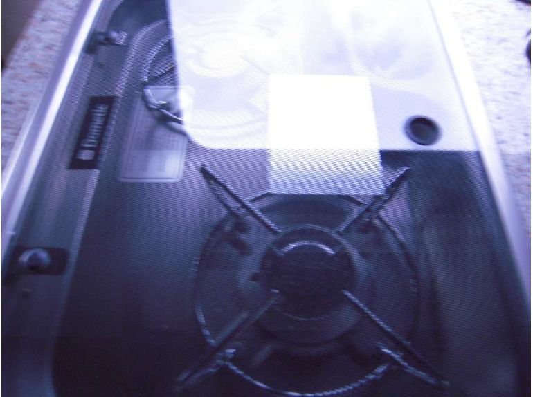 2013 triumph thruxton - brooklands green 