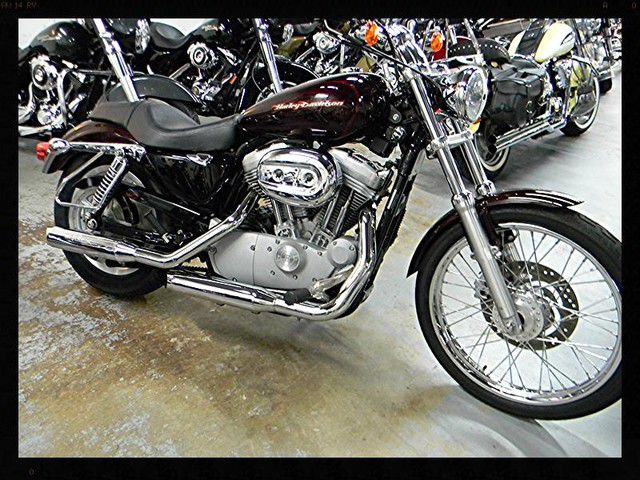 2005 Harley Davidson Sportster 883 C XL883C - Pompano,Florida