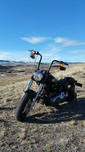 2013 Harley-Davidson Softail