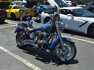 2010 harley-davidson softail