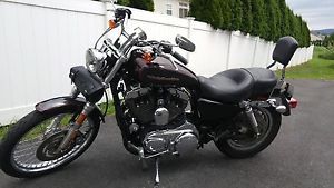 2005 Harley-Davidson Sportster