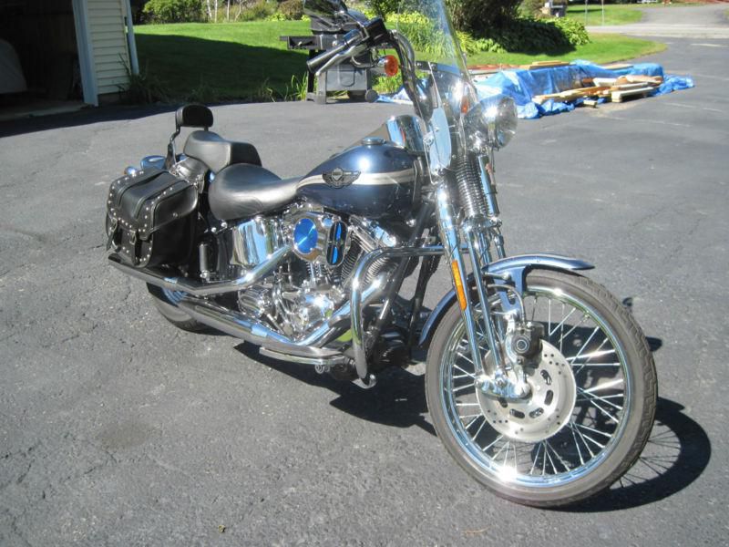 2003 harley-davidson® fxsts springer® softail®