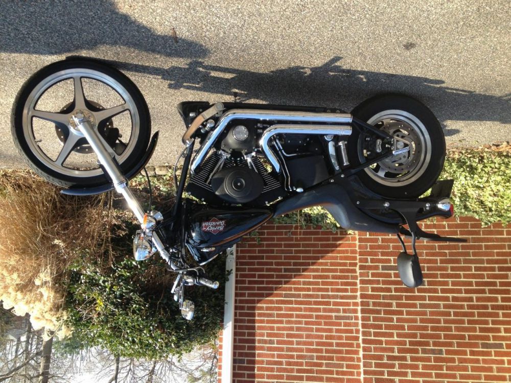 2000 harley-davidson softail  cruiser 