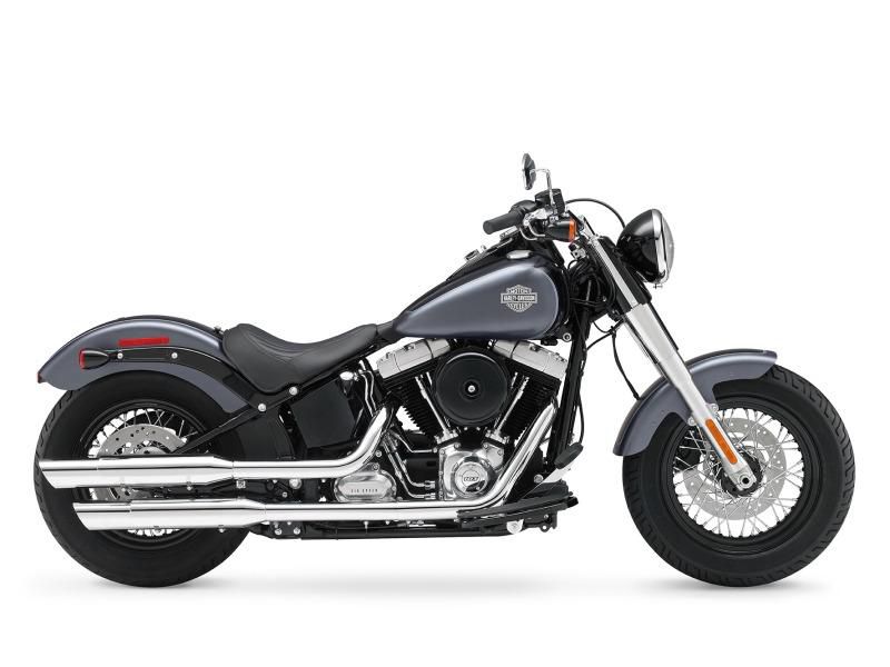 2014 harley-davidson softail slim cruiser 