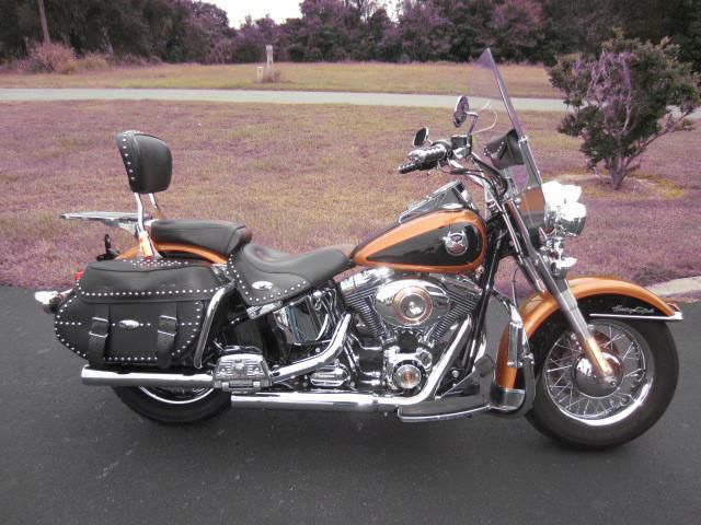 2008 harley-davidson heritage softail 105th anniversary flstc anv