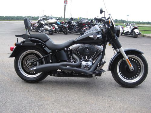2010 harley-davidson softail