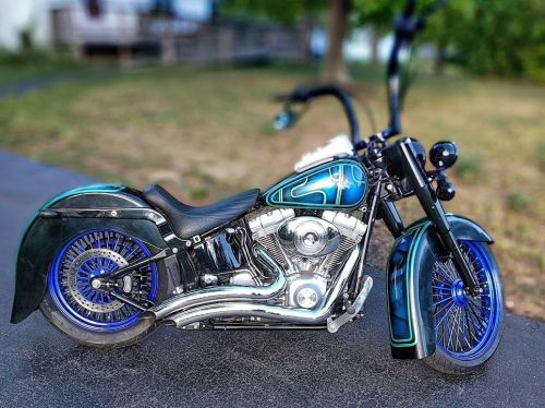 2005 harley-davidson softail
