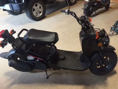 2013 Honda Ruckus