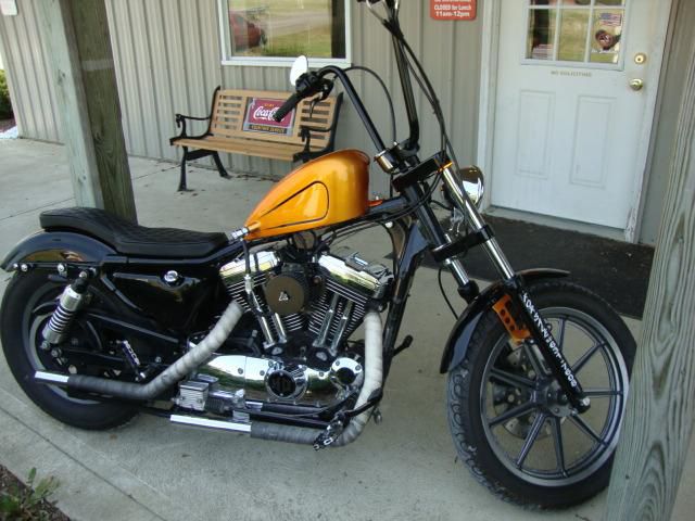 Harley davidson   xl 1200 sportster