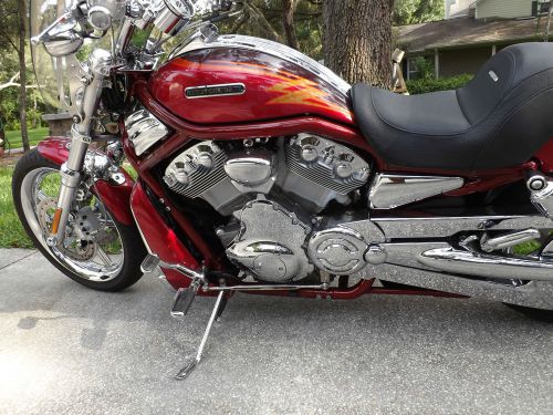 2005 Harley-Davidson, US $13,500.00, image 10