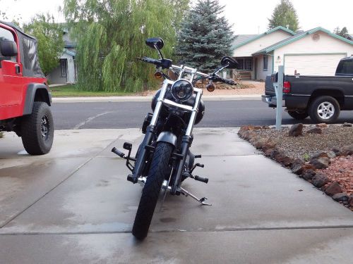 2009 harley-davidson softail