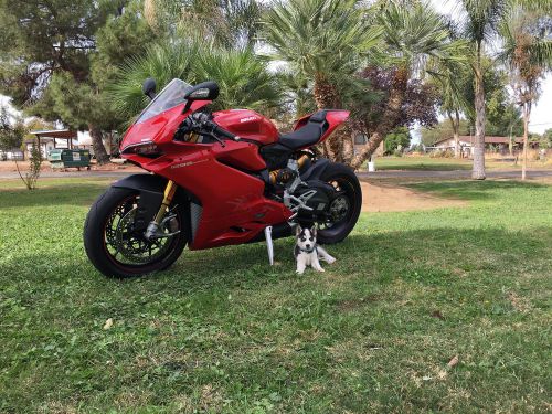 2015 Ducati Superbike, US $4800, image 3