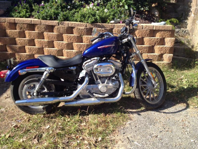 Harley Davidson 2006 Sportster 883 low