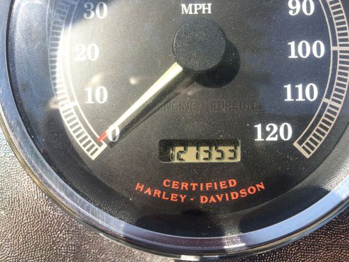 1999 Harley-Davidson Other, image 4