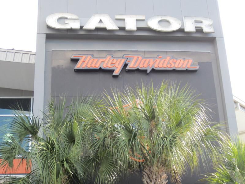 2002 Harley-Davidson Softail Springer FXSTS, US $10,995.00, image 9