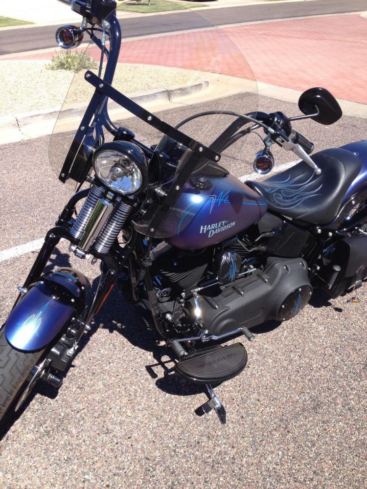 2010 harley-davidson softail cross bones cruiser 
